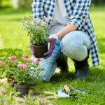 Júnové práce v záhrade