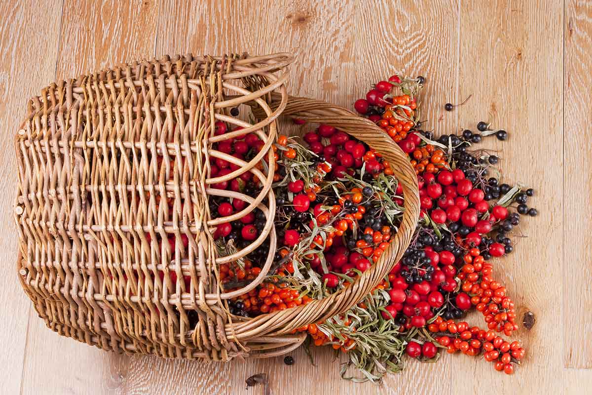 Košík s rakytníkom, hlohom a aróniou