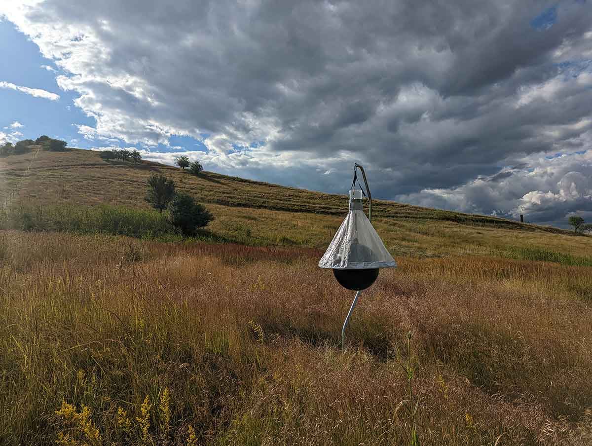 Manitobská pasca na ovady
