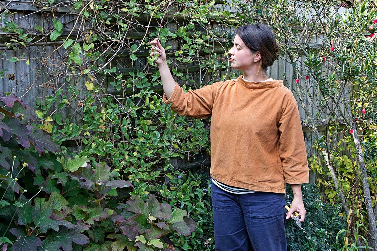 Zhodnotenie štruktúry zemolezu 