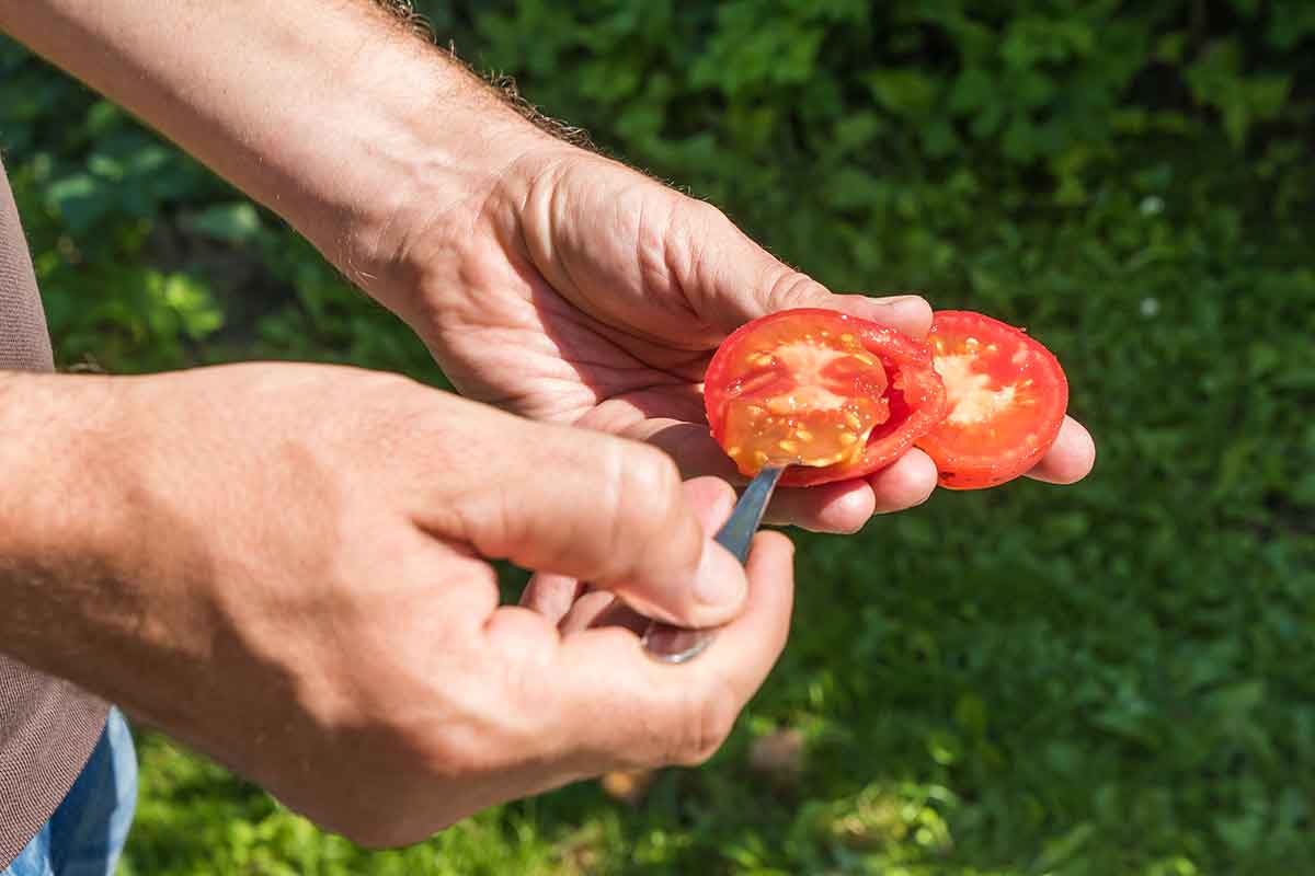 Vydlabanie dužinu spolu so semenami pomocou lyžice