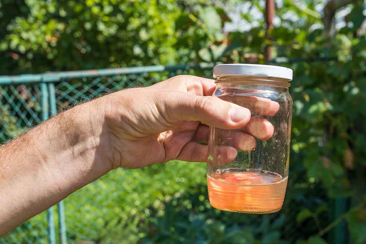 Pohár s vodou a rajčinovou dužinou so semenami