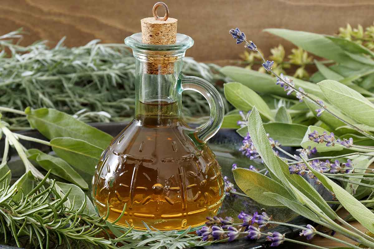 Bylinky vhodné na lúhovanie v octe