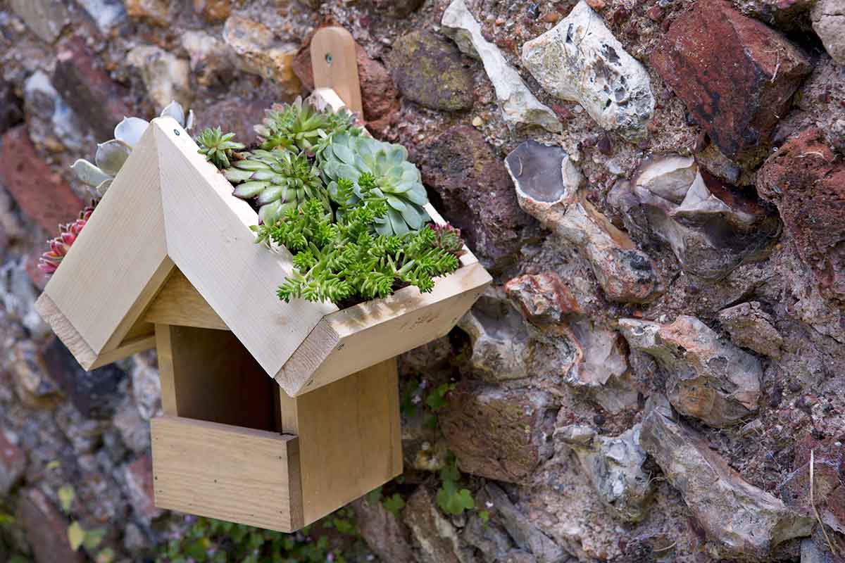 Vtáčia búdka so šikmou zelenou strechou