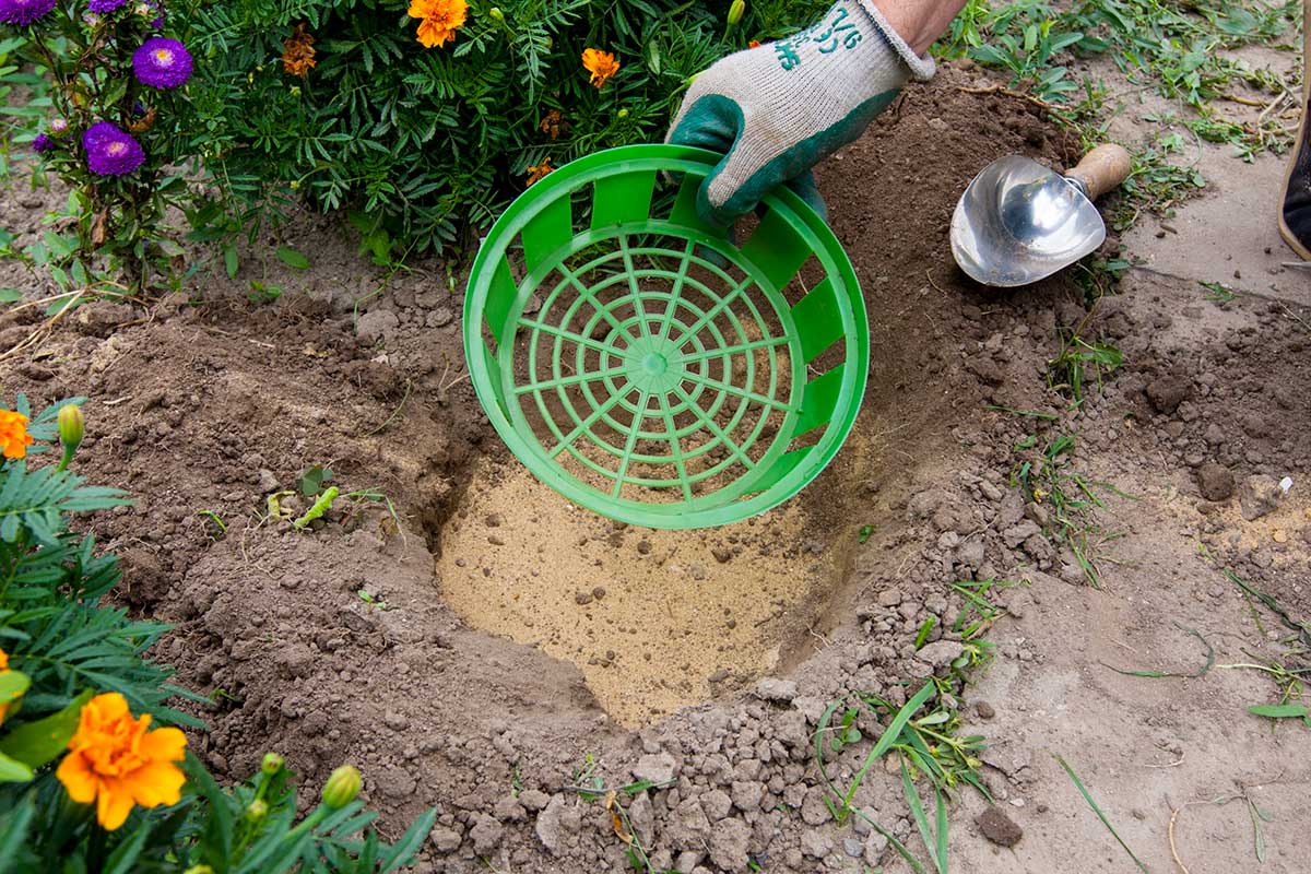 01 DanoVeselsky kosik