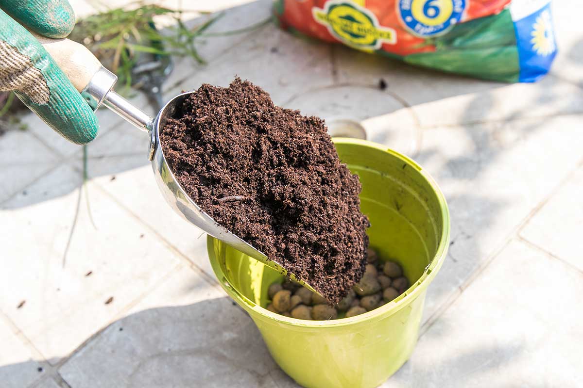 Naplnenie kvetináča zeminou