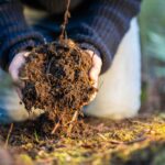 Ako správne kompostovať v záhrade