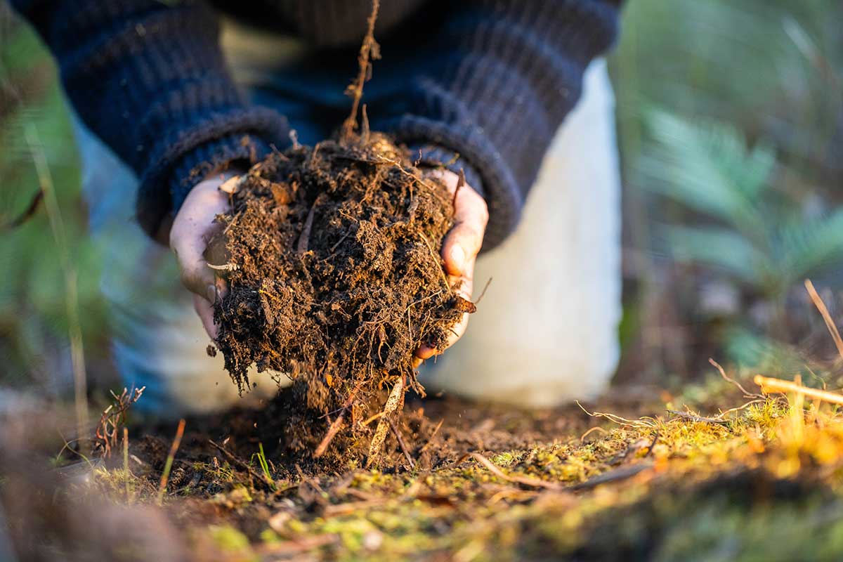 Ako správne kompostovať v záhrade