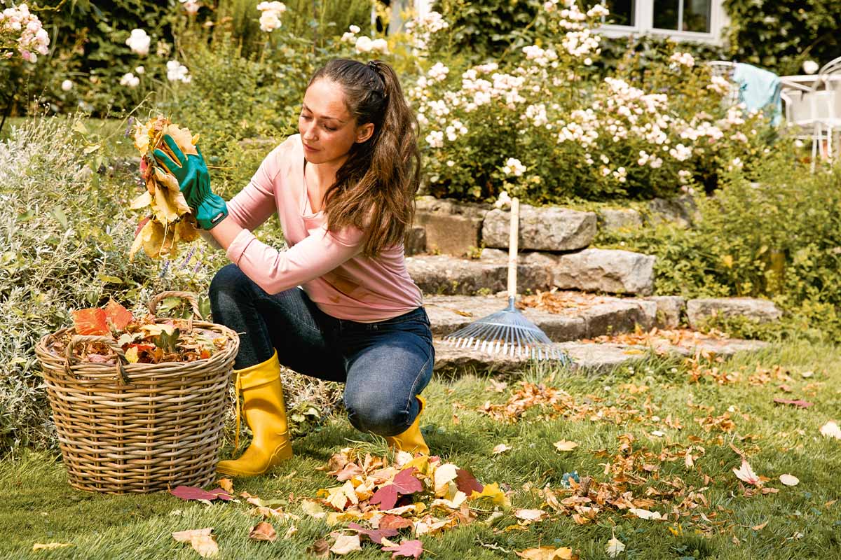 Príprava záhrady na zimu