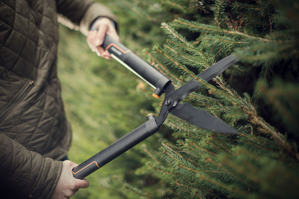 Jesenné strihanie rastlín, živých plotov a ovocných stromov