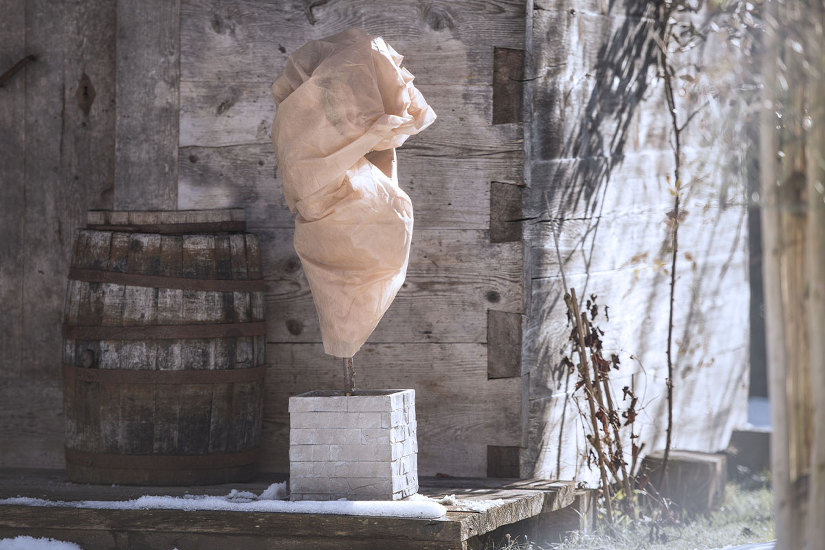 Ochrana rastlín pred chladom a vetrom