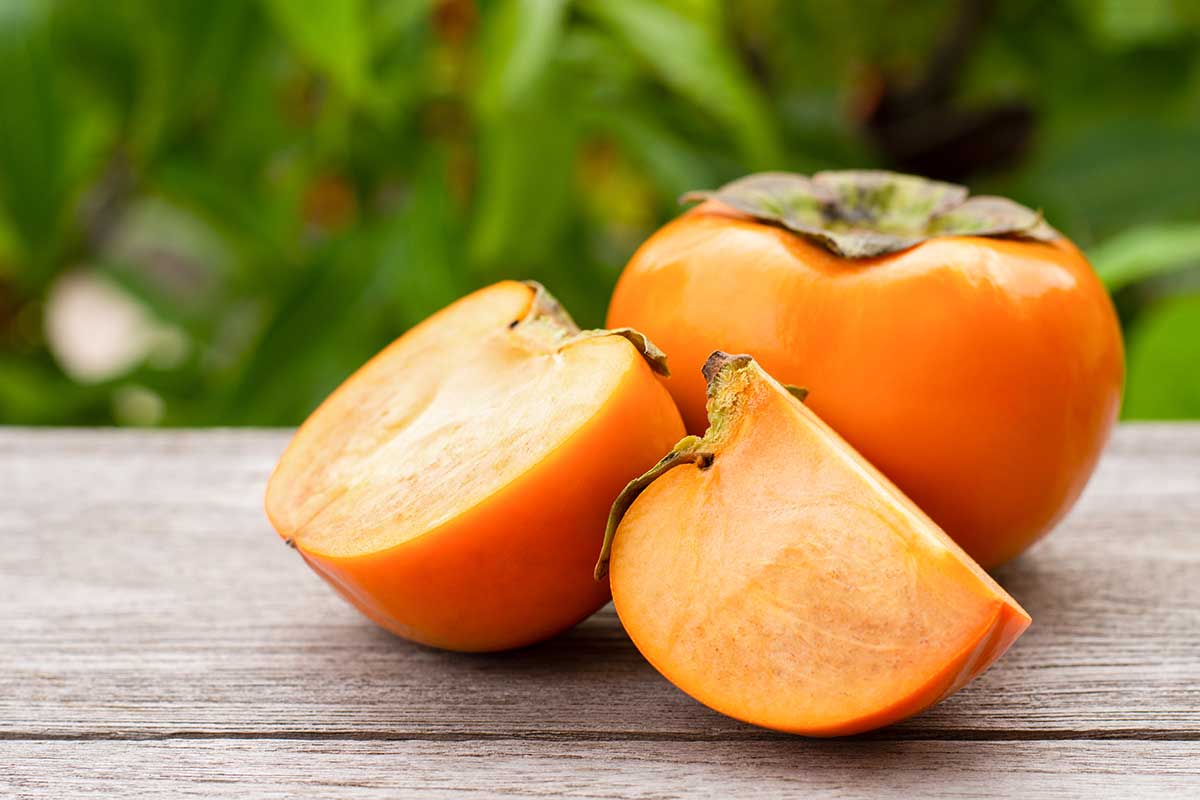 Pestovanie hurmikaki v nadmorskej výške 300 metrov