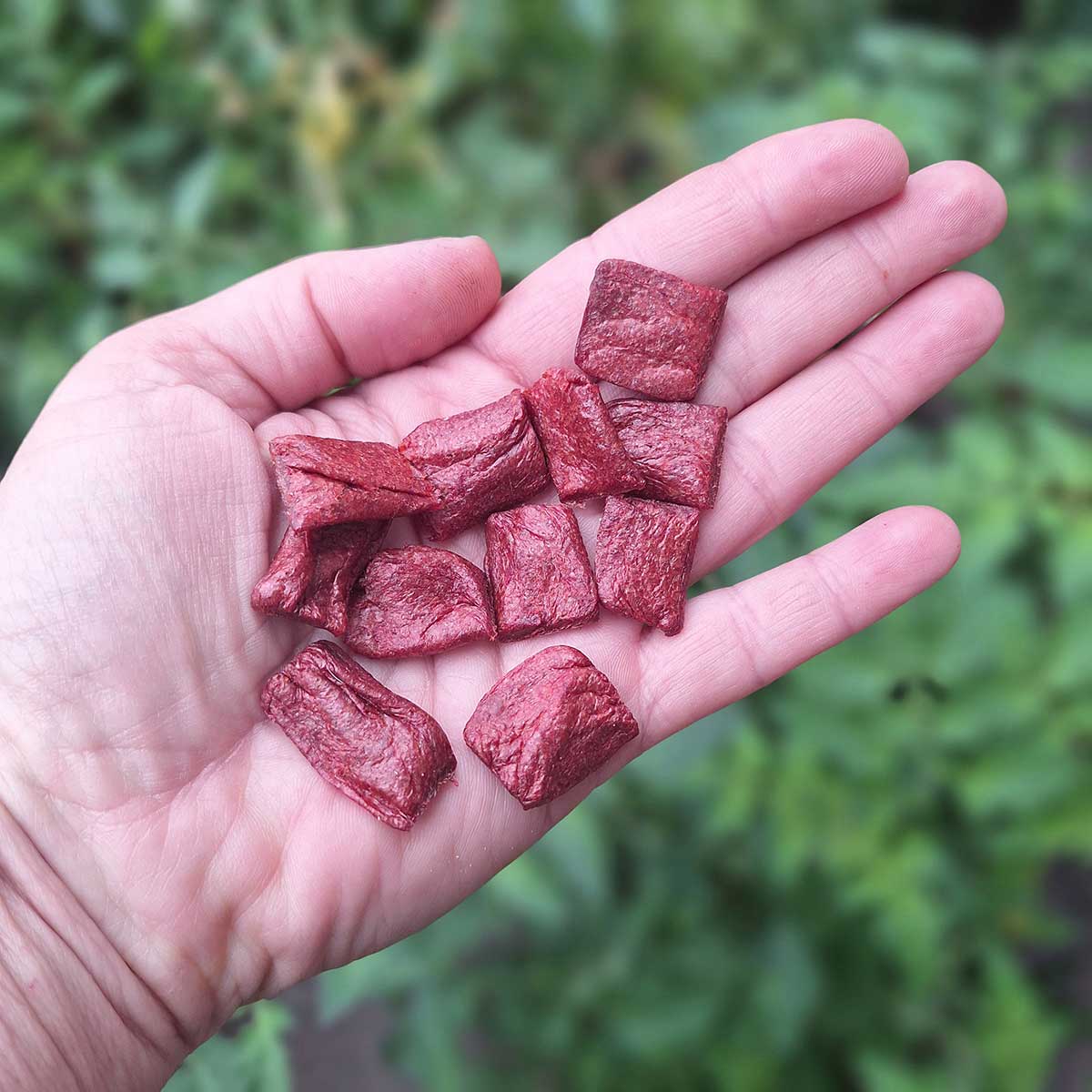 Sušená koža z paradajok