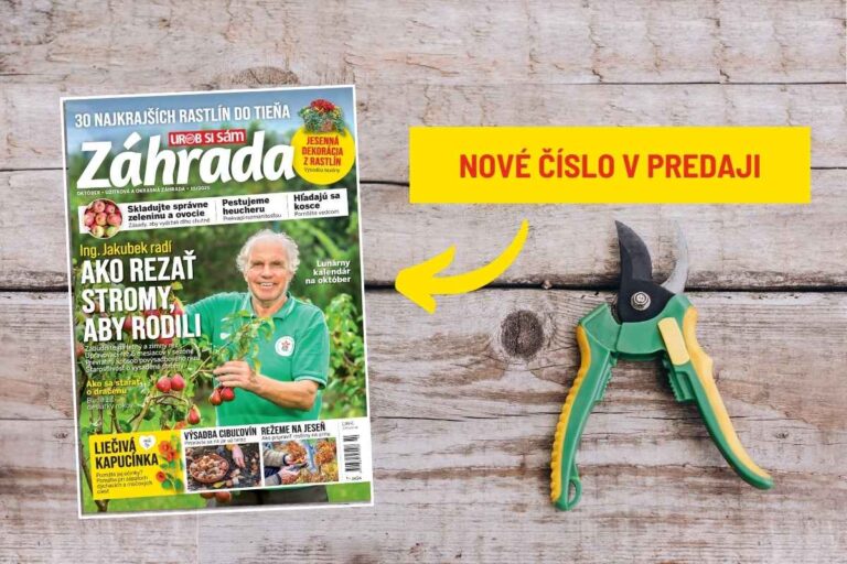 Naučte sa rezať dreviny po novom s októbrovým číslom časopisu Záhrada. Už v predaji!