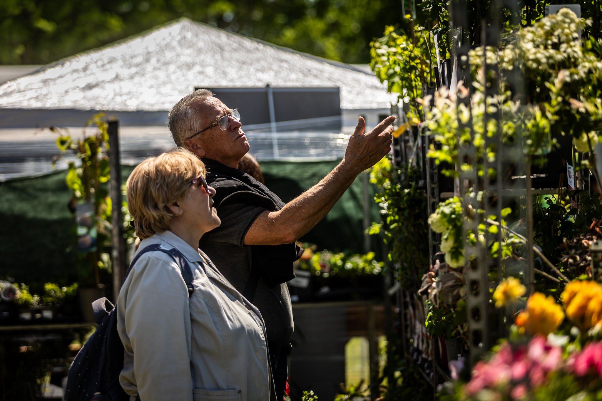 Festival záhrad a hobby 2025 na Zlatých Pieskoch (06)