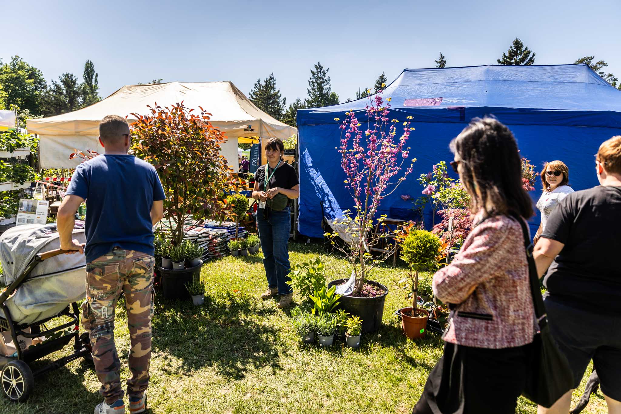 Festival záhrad a hobby 2025 na Zlatých Pieskoch (11)