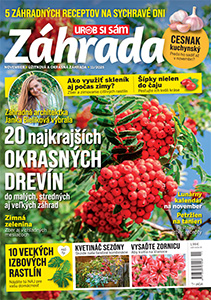 Nové číslo časopisu Záhrada je už v predaji! Časopis Záhrada 11/2025