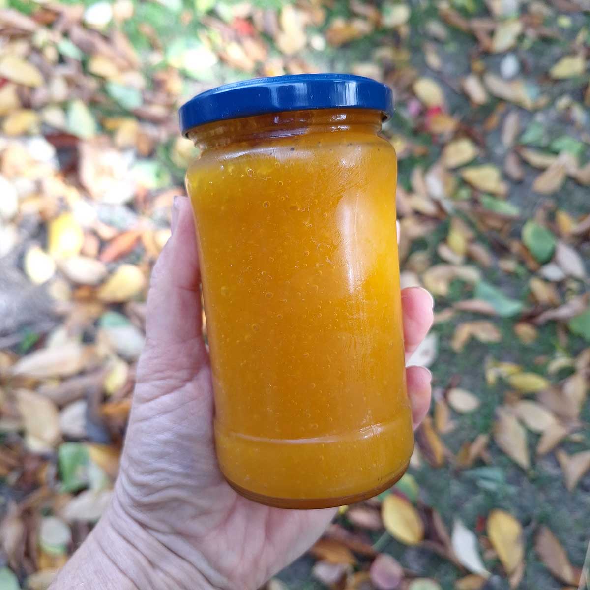 Domáce tekvicové pyré