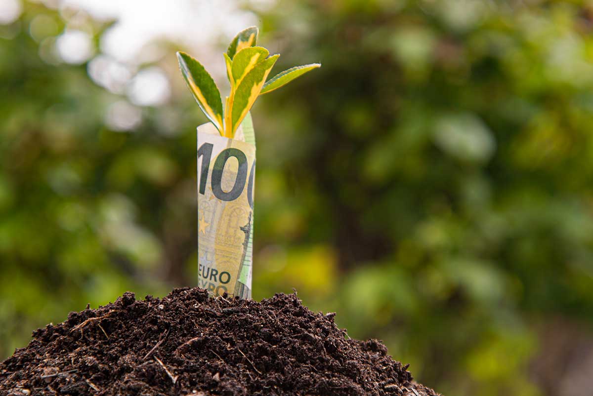 Jesenné aktivity v záhrade, ktoré šetria peniaze