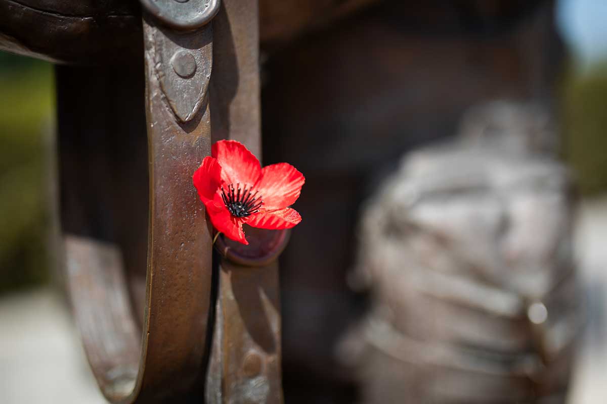 Kvet maku na hrobovom mieste