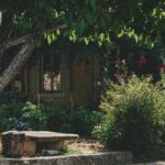 Najkrajšie rastliny do tieňa a polotieňa