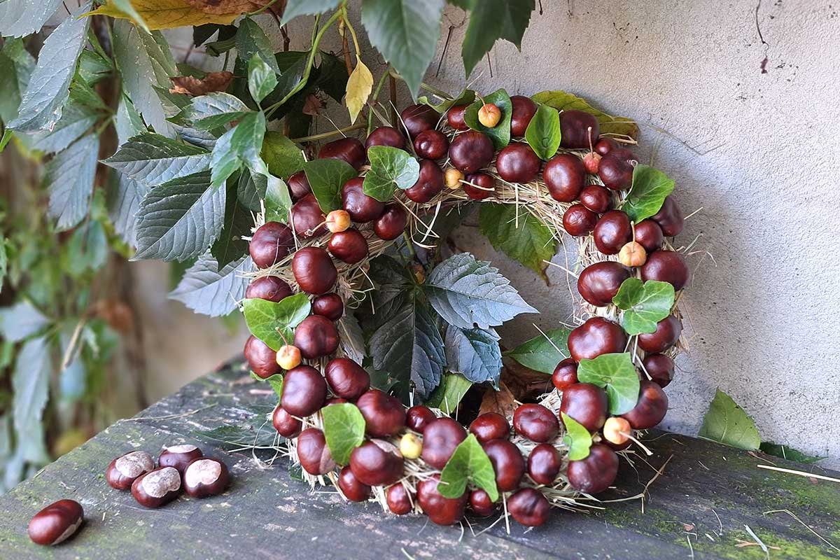 Jesenný veniec s gaštanmi a listami brečtanu