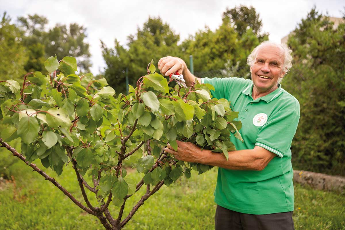 Ovocinár Ing. Eduard Jakubek