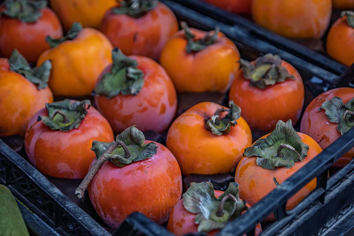 Skladovanie hurmikaki