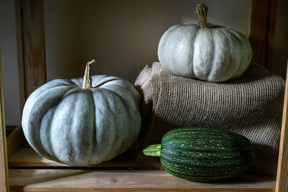 Skladovanie tekvíc a cukiet