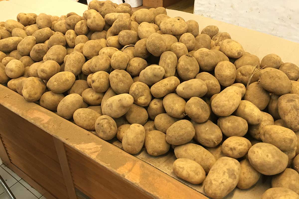 Skladovanie zemiakov