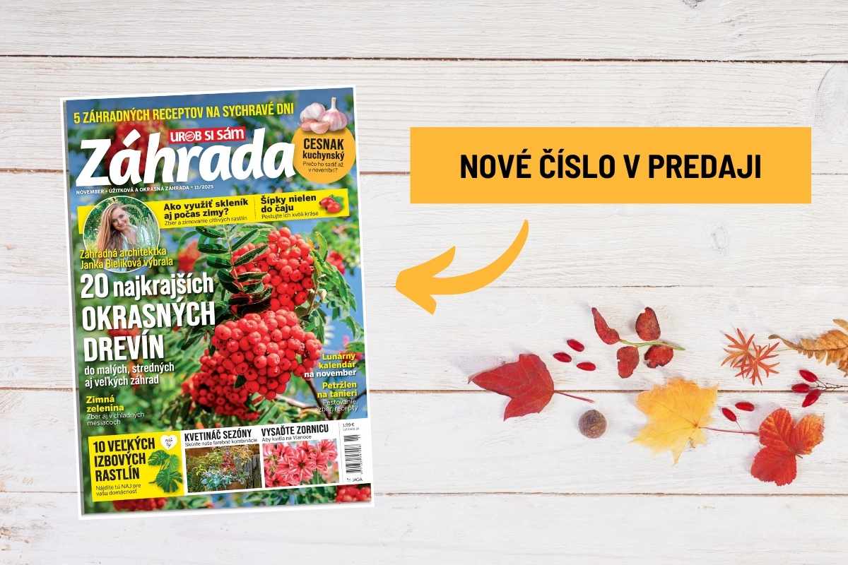 Novembrové číslo časopisu Záhrada 11/2025