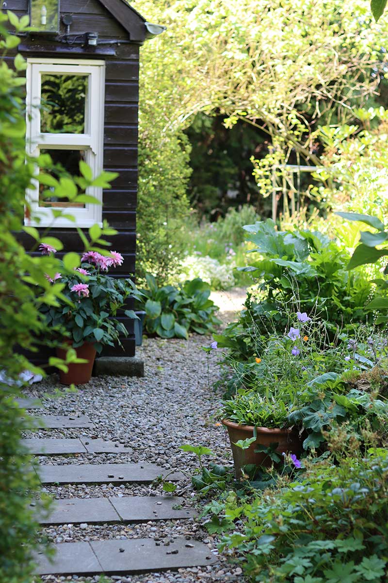 Záhradná cestička z kamenných dlaždíc v medzi záhradnými kvetmi a rastlinami vedúca k drevenej chatke
