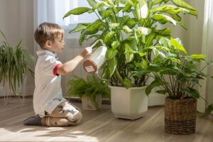 Nebojte sa izboviek väčších rozmerov! Záhradná dizajnérka radí, ako si vybrať a čo im dopriať v rámci pestovania