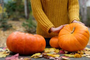 Tekviciam stačí aj ranná rosa, hovorí ich pestovateľka Alena Bernadičová. Čo pre ňu táto plodina znamená?