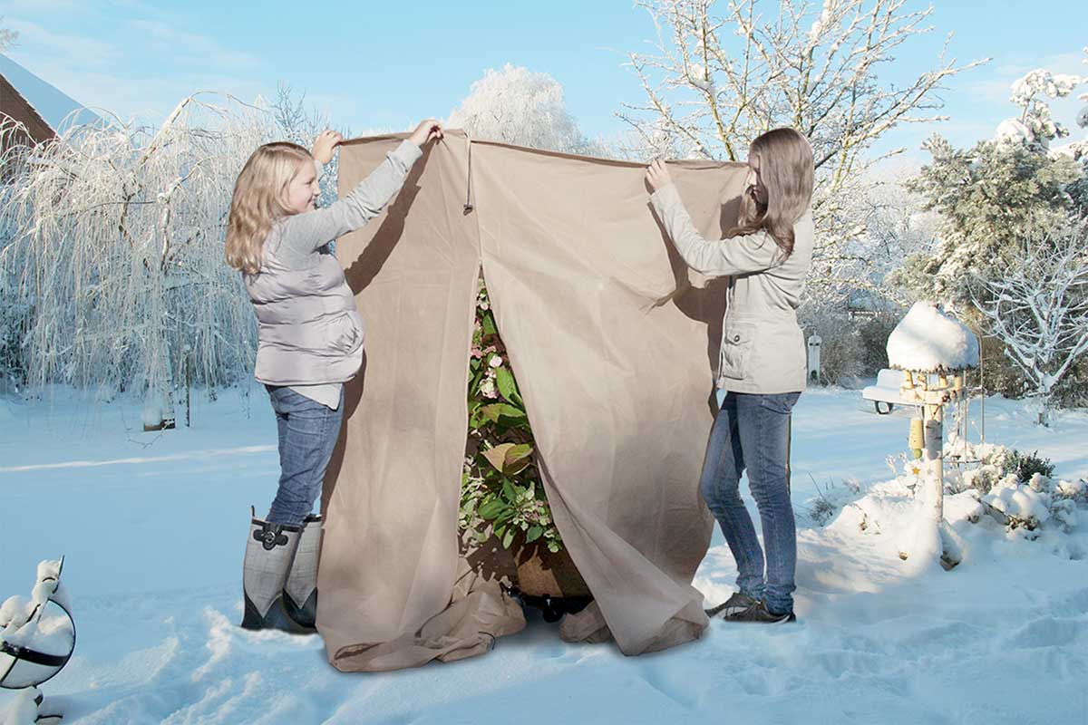 Ochrana chúlostivých rastlín v záhrade textíliou