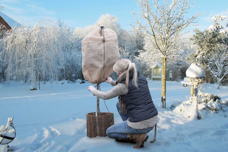 Ako sa postarať o záhradu počas zimy? Toto radia odborníci