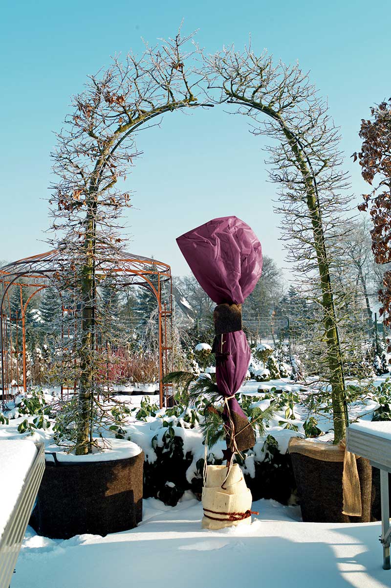 Zazimovaná záhrada a chránená pred snehom a mrazom