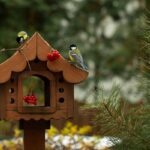 Starostlivosť o vtáčie búdky a kŕmidlá v záhrade