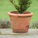 Praskanie kvetináčov v zime a ako tomu zabrániť