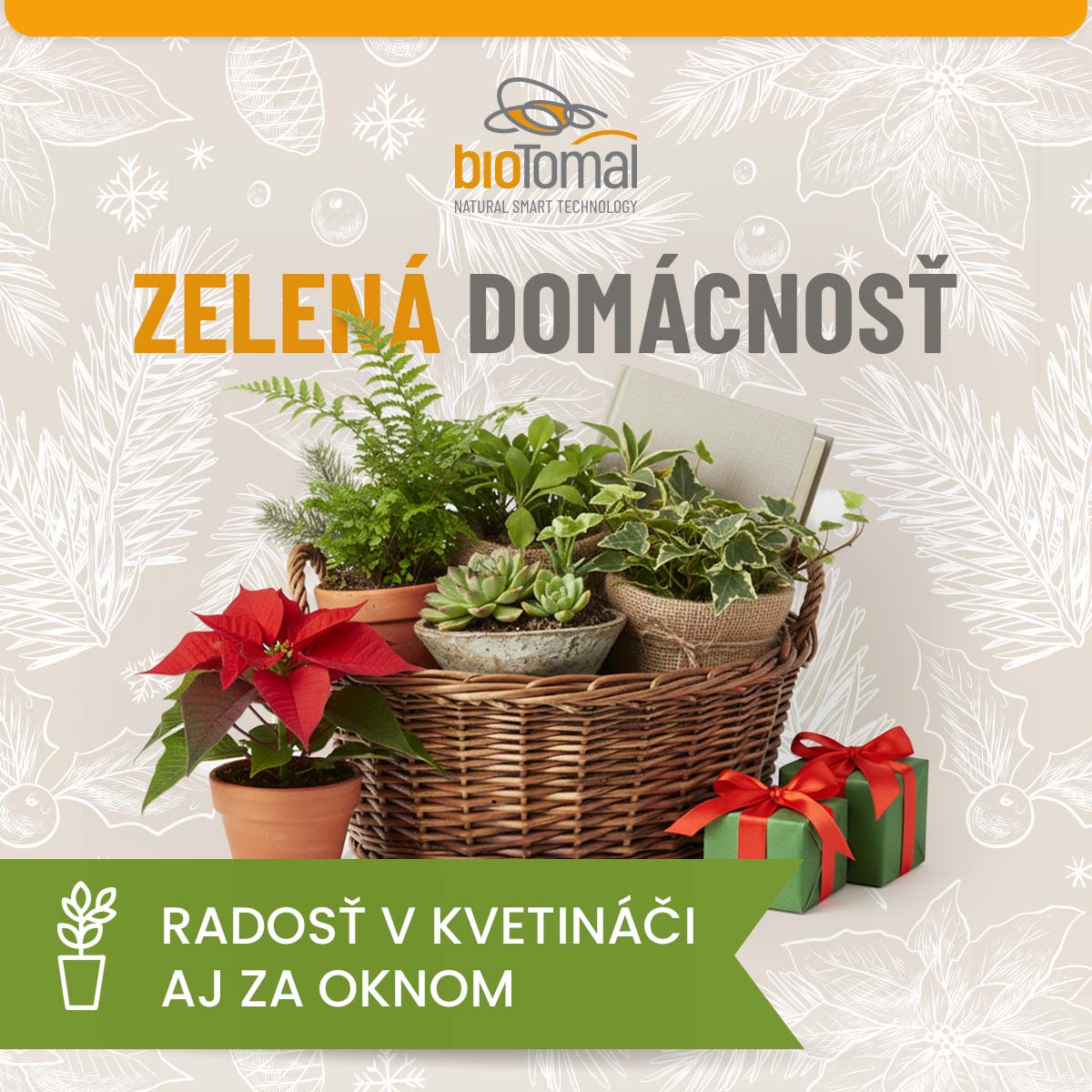 Vianočný balíček pre izbové rastliny, bylinky a balkónovú zeleň