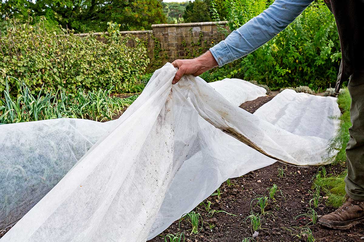 Biela netkaná textília ako ochrana v zimnom období