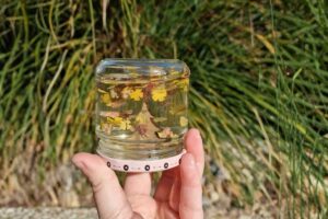 Malý kúsok jesene v pohári: Pripravte si s nami čarovnú dekoráciu, ktorú zvládnu aj deti