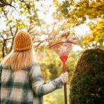 Novembrové práce v záhrade