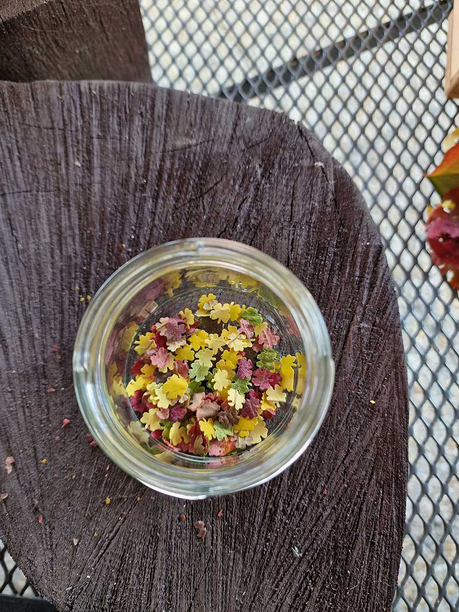 Jesenné lístky v sklenenom pohári