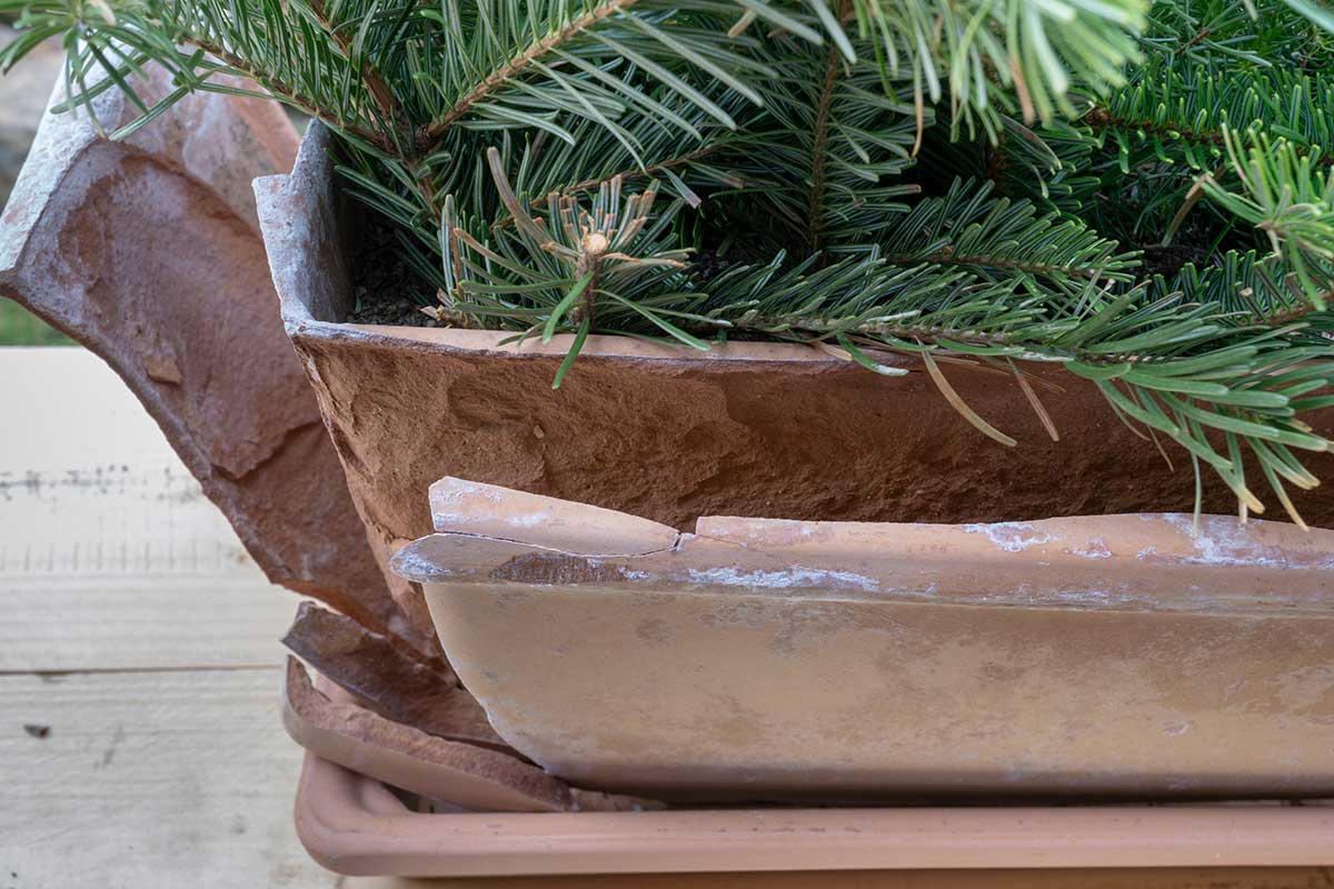 Prasknutý kvetináč