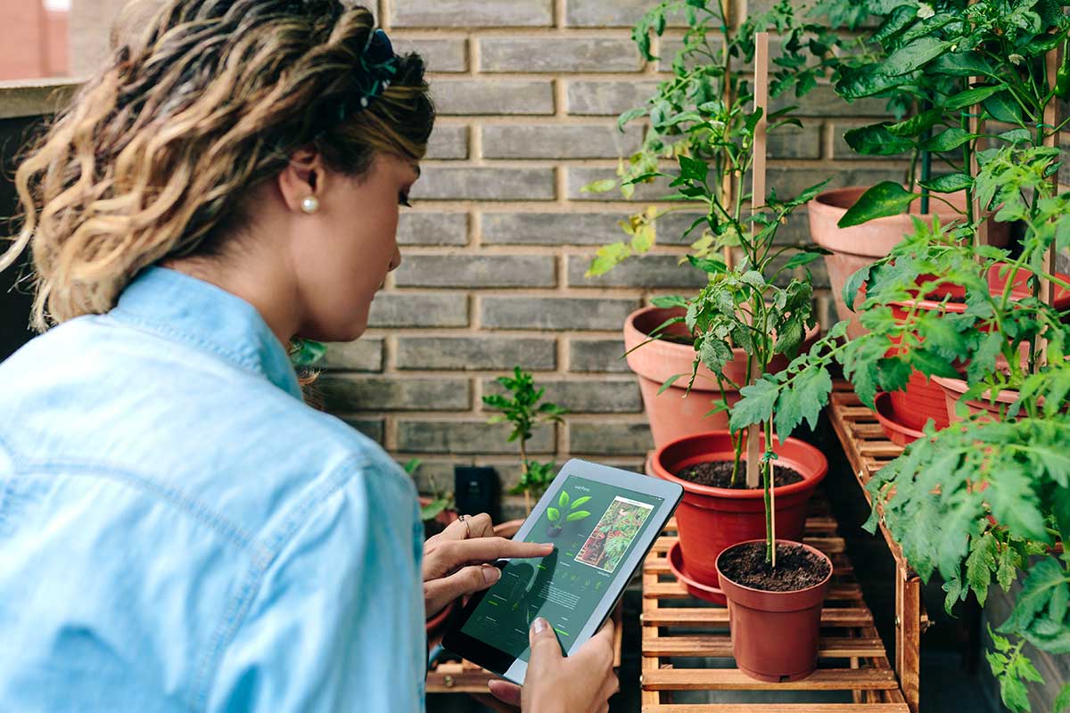 Trend: Umelá inteligencia v záhrade