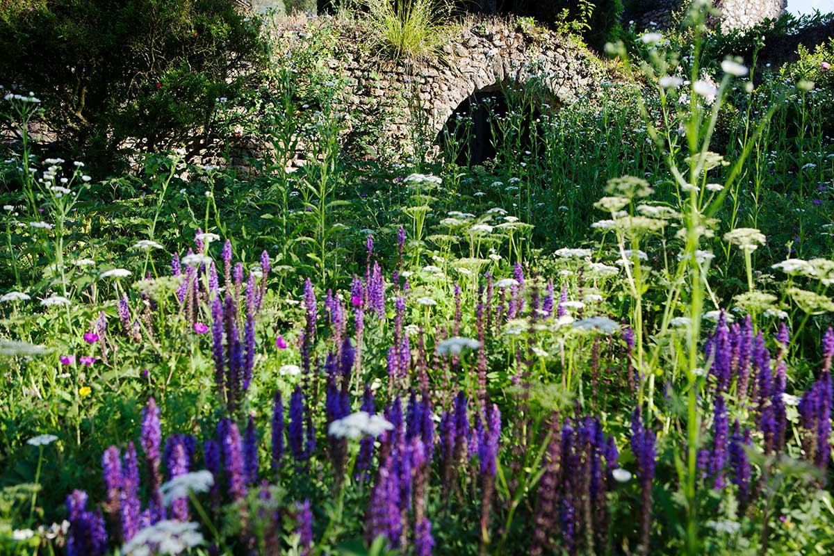 Jedna farba, mnoho tvarov — to je recept, ktorý funguje vždy. Foto: Shutterstock