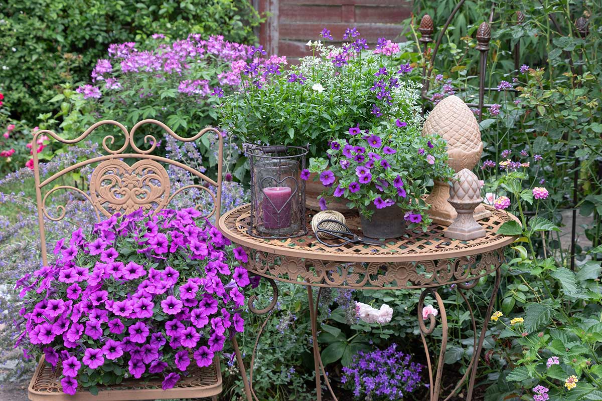 Trend: Monochromatické záhony