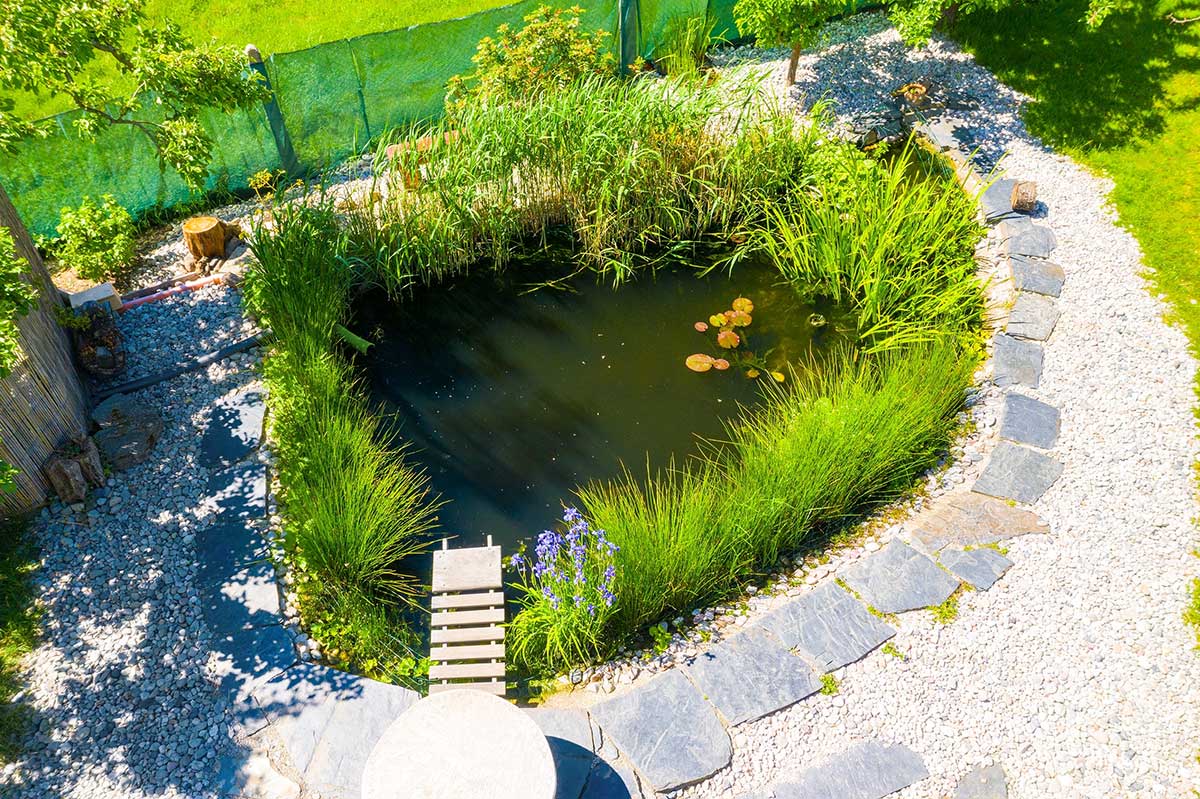 Trend: Prírodné kúpacie jazierka