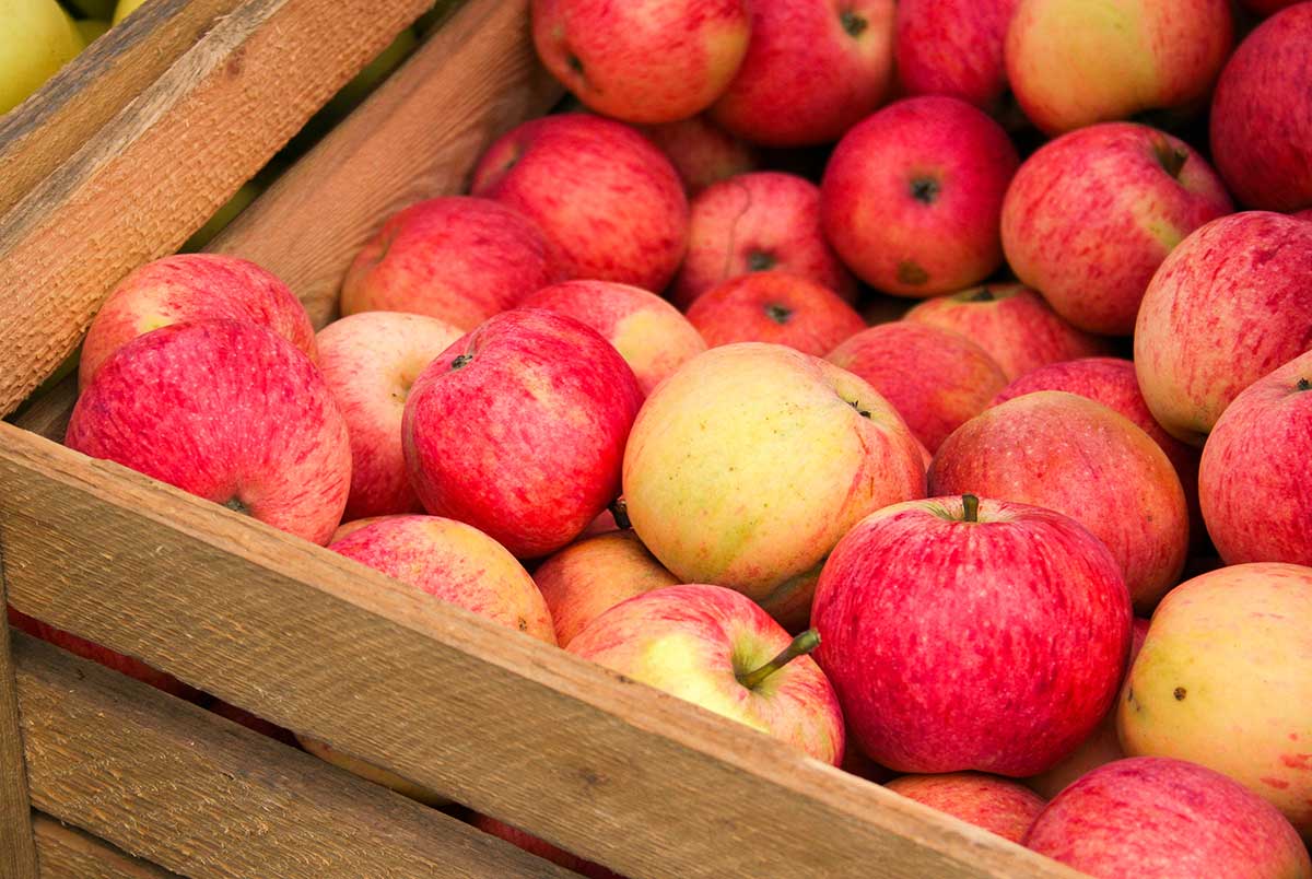 Uskladnenie jabĺk